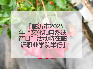 临沂市2025年“文化和自然遗产日”活动将在临沂职业学院举行